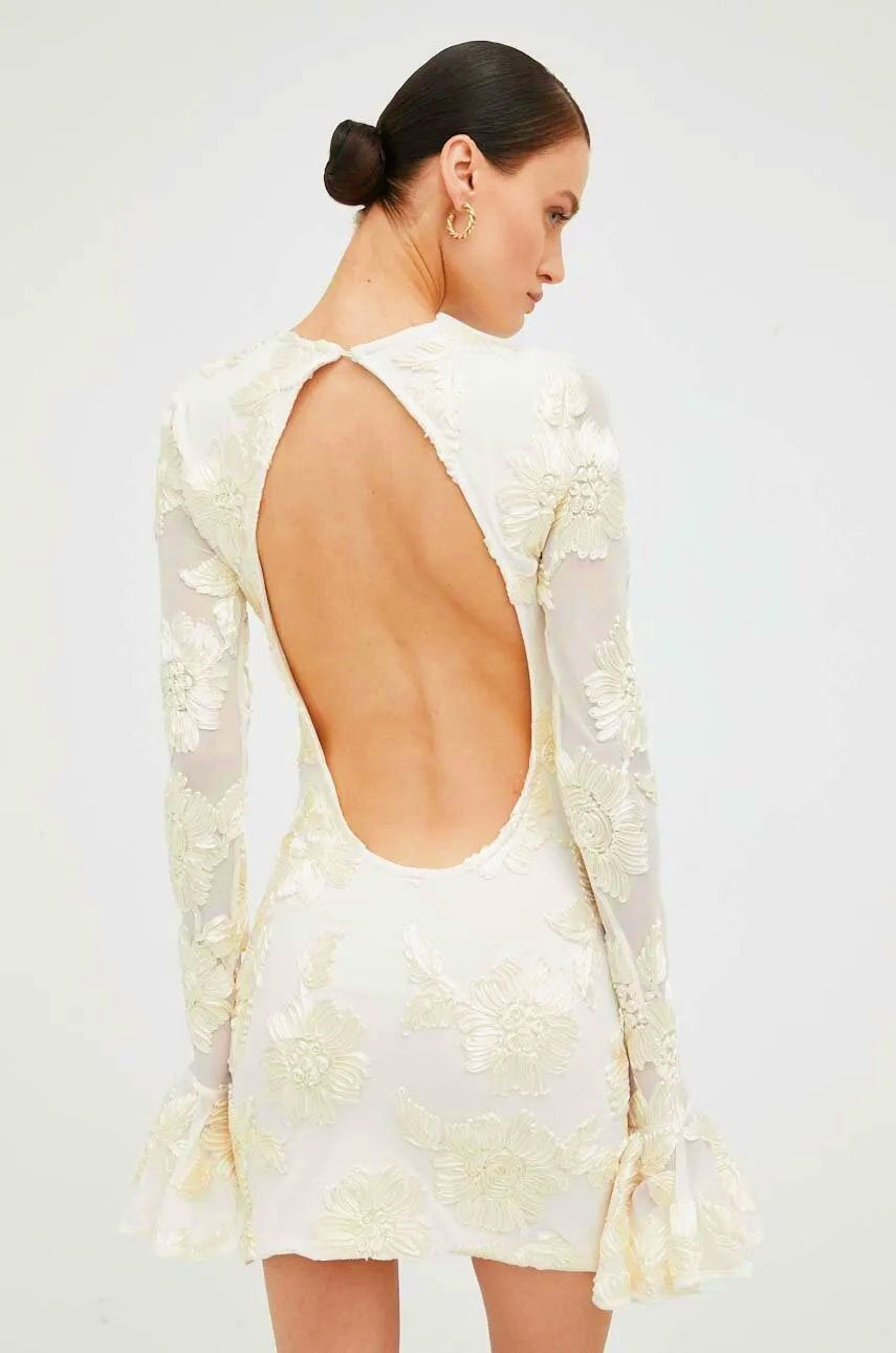 Aurora Embroidered Backless Mesh Mini Dress