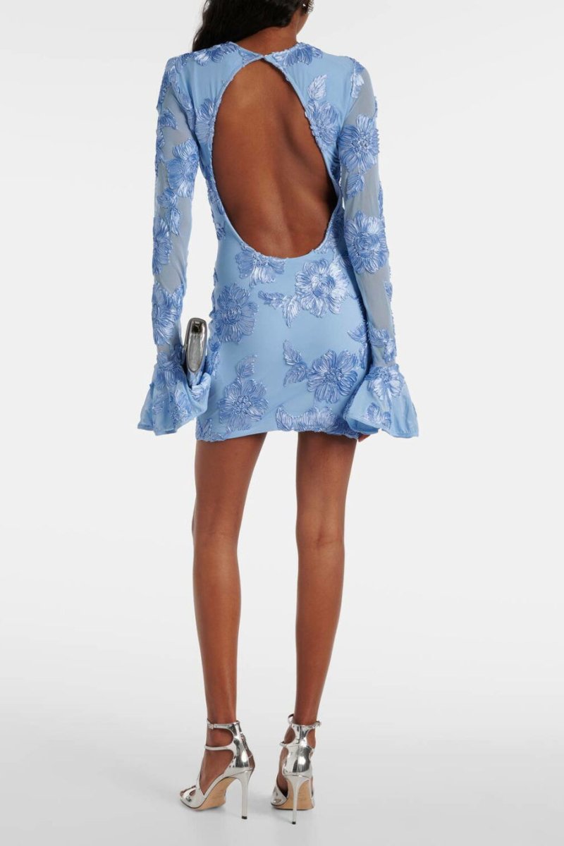 Aurora Embroidered Backless Mesh Mini Dress