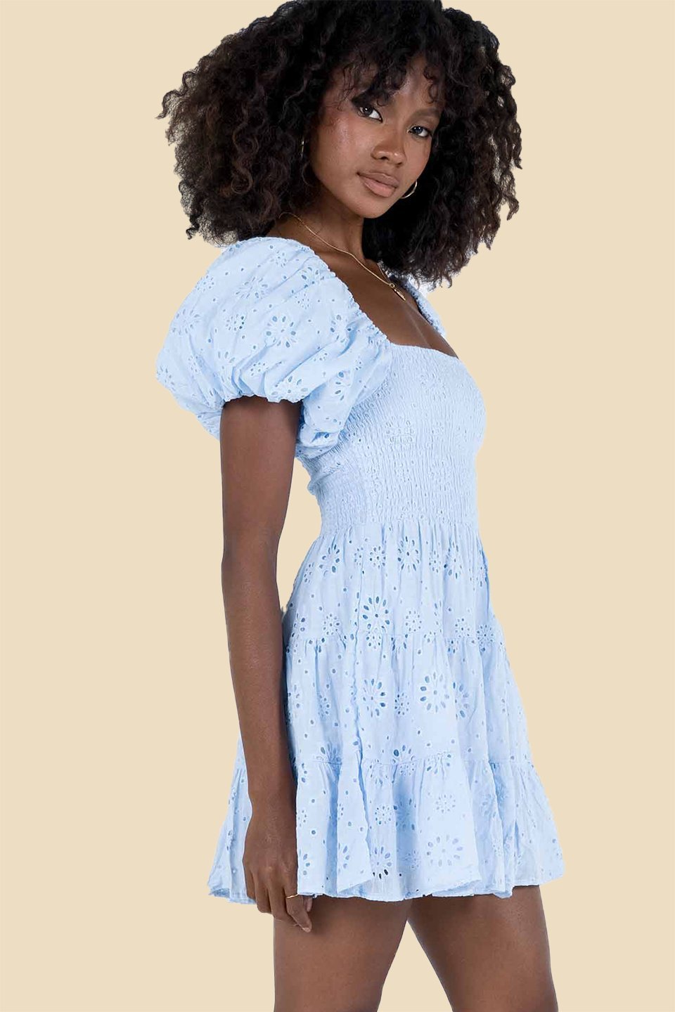 Carol Shirred Embroidered Lace Cotton Mini Dress