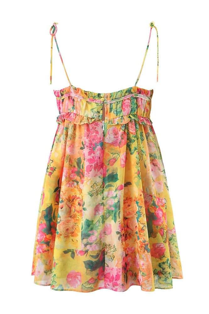 Mona Floral Printed Chiffon Mini Dress